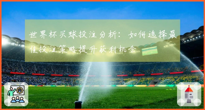 世界杯买球投注分析：如何选择最佳投注策略提升获利机会