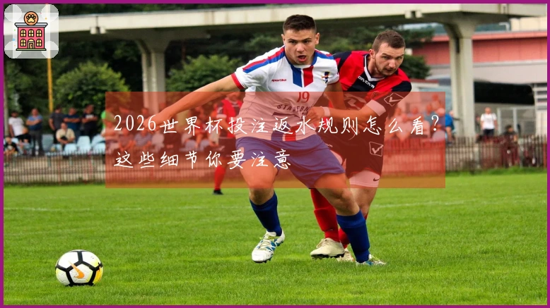 2026世界杯投注返水规则怎么看？这些细节你要注意
