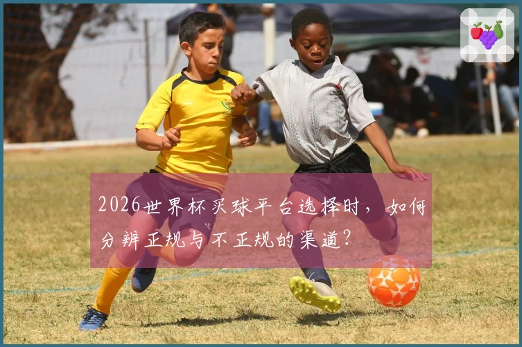2026世界杯买球平台选择时，如何分辨正规与不正规的渠道？