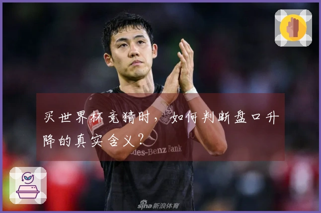 买世界杯竞猜时，如何判断盘口升降的真实含义？